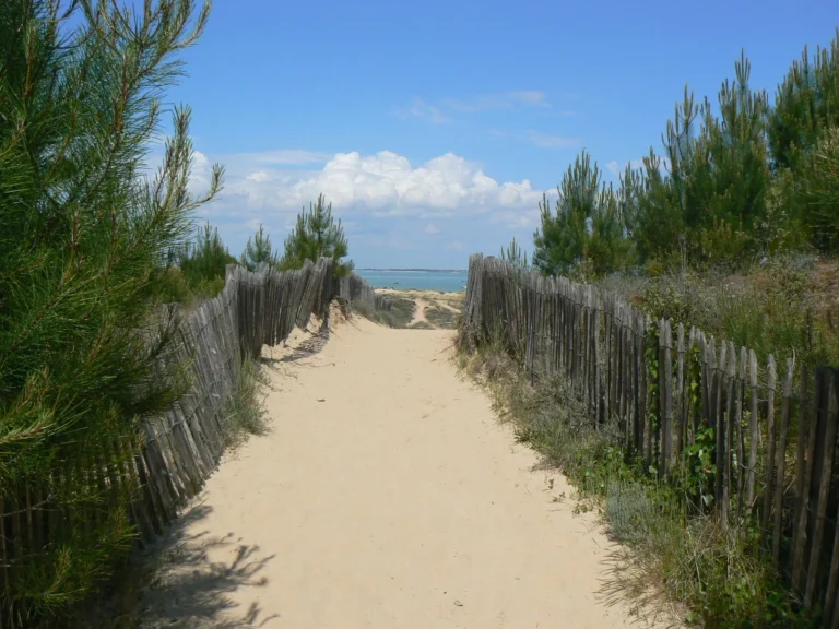 Chemin de sable entre les pins menant à l’océan, en Nouvelle-Aquitaine
