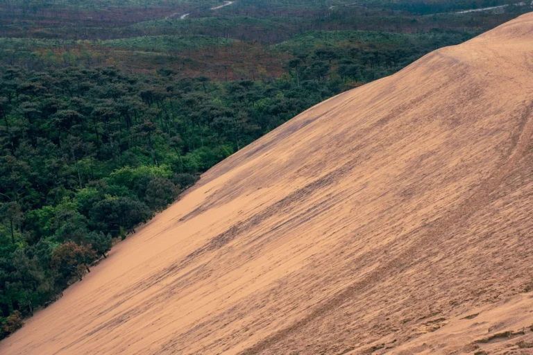 La dune du Pilat et la forêt de pins qui la borde