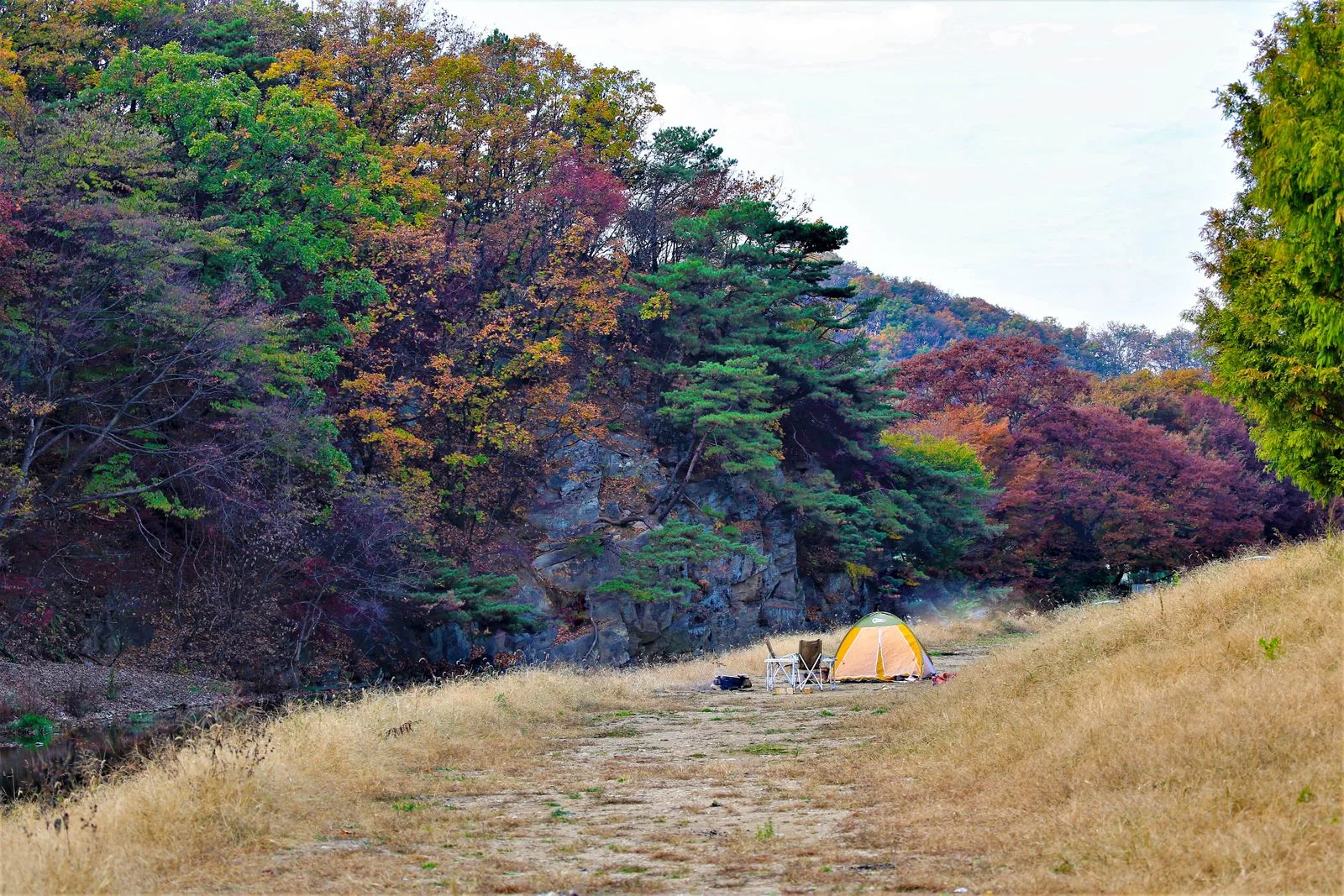 Tente plantée dans une forêt aux couleurs d’automne
