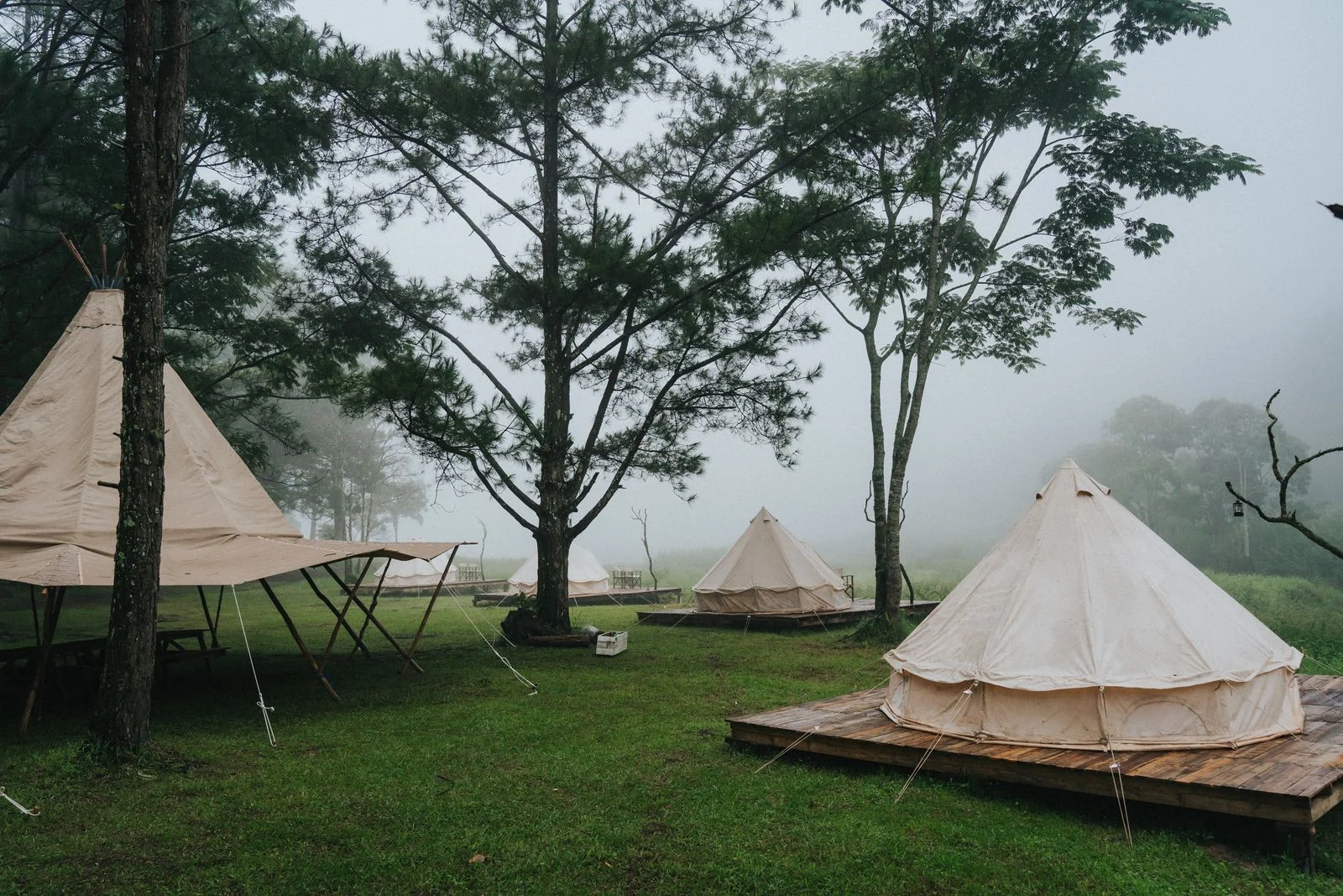 Tentes de glamping dans une forêt brumeuse